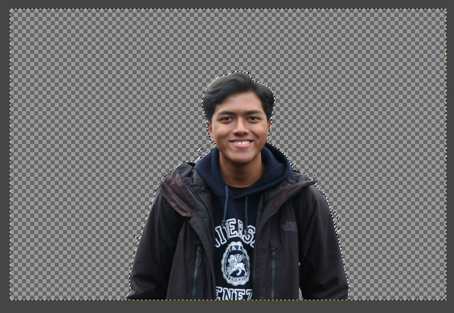 Image Processing on GIMP